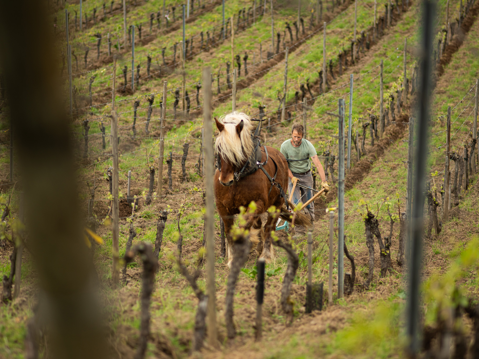 Kreydenweiss2024_ThomasKuchel-059